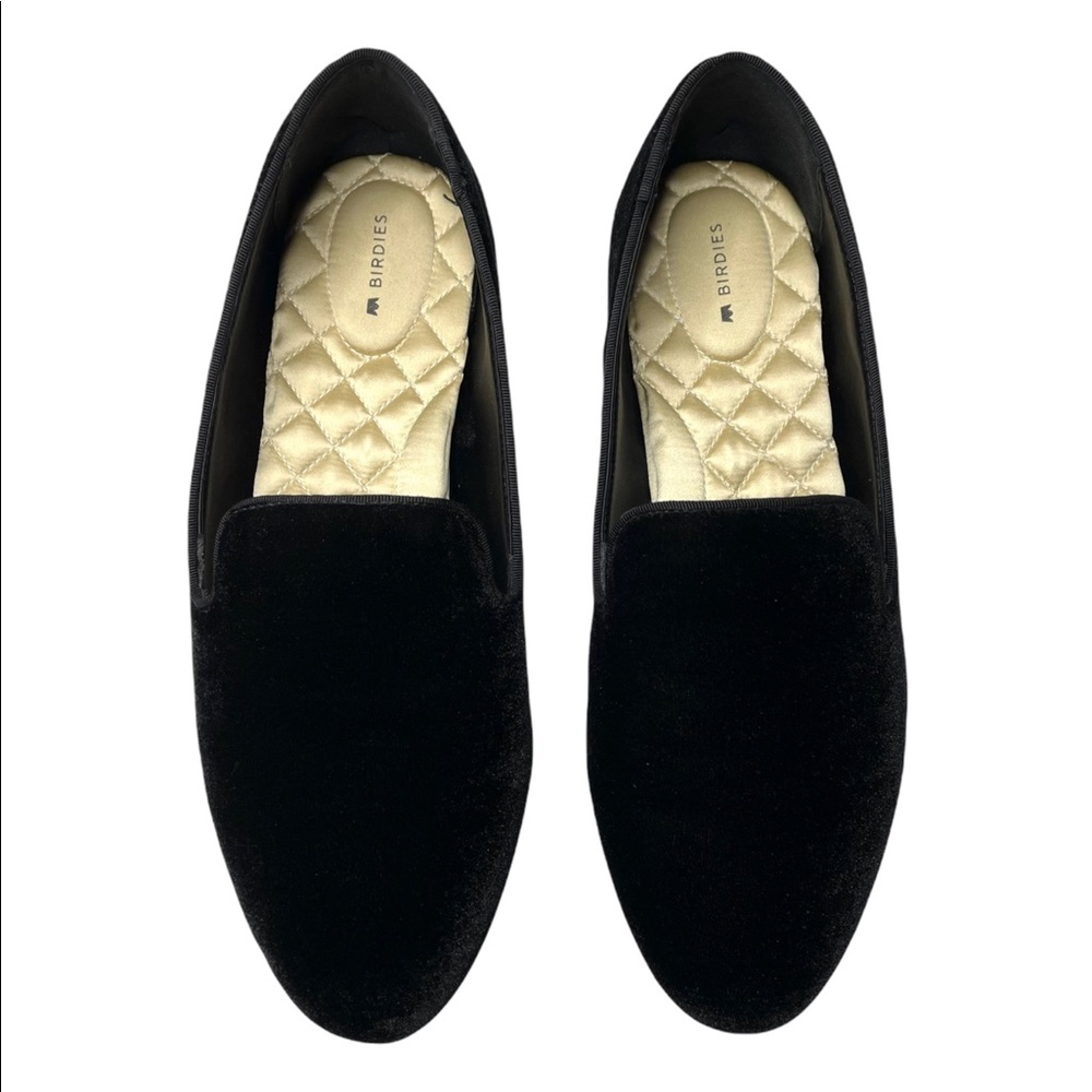 Birdies | The Starling in Black Velvet 11